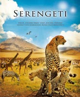 Serengeti /   